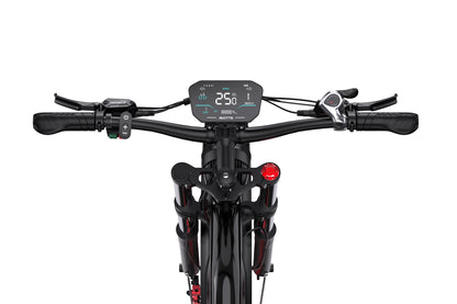 DUOTTS N26 Electric Bike