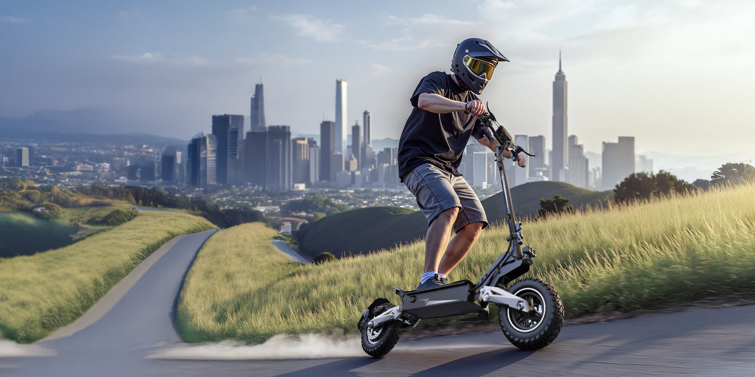 Wild Aesthetics Electric Scooter