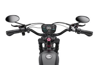 DUOTTS F20 Electric Bike