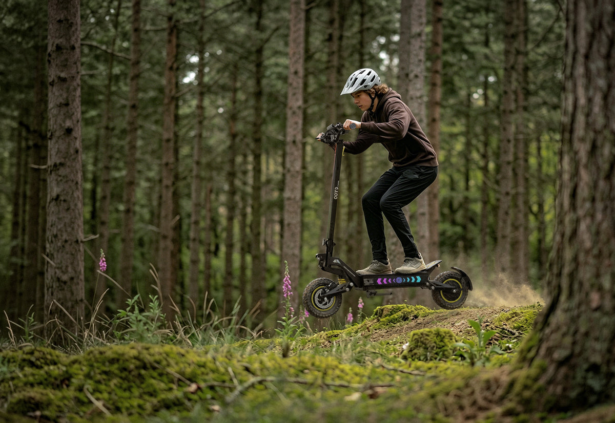 Absorb the terrain.