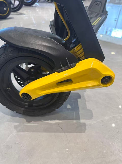 S10 front fork swingarm