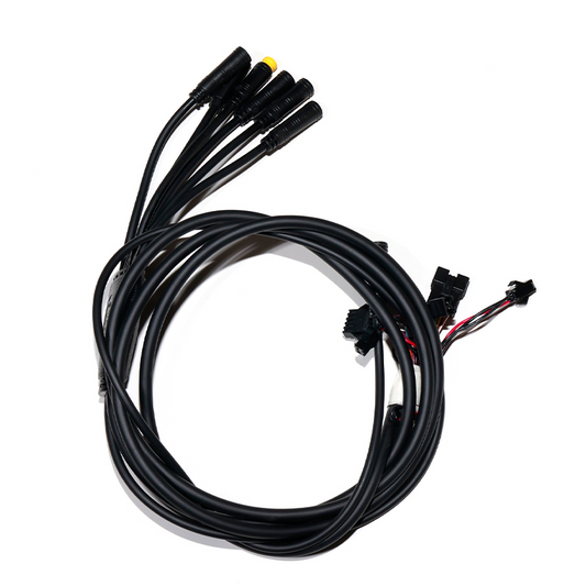 T10 Integrated Cable