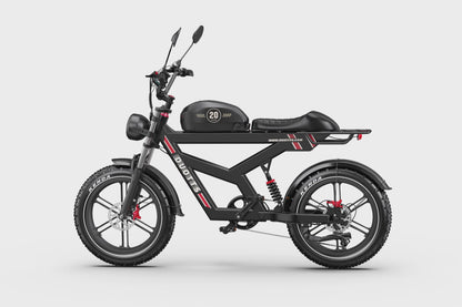 DUOTTS F20 Electric Bike